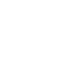 BN Logo Light